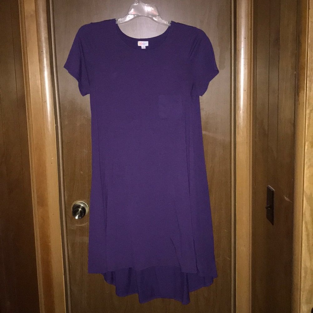 LuLa Roe Carly Tunic Dress
